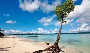 Andaman And Nicobar Cruise Packages