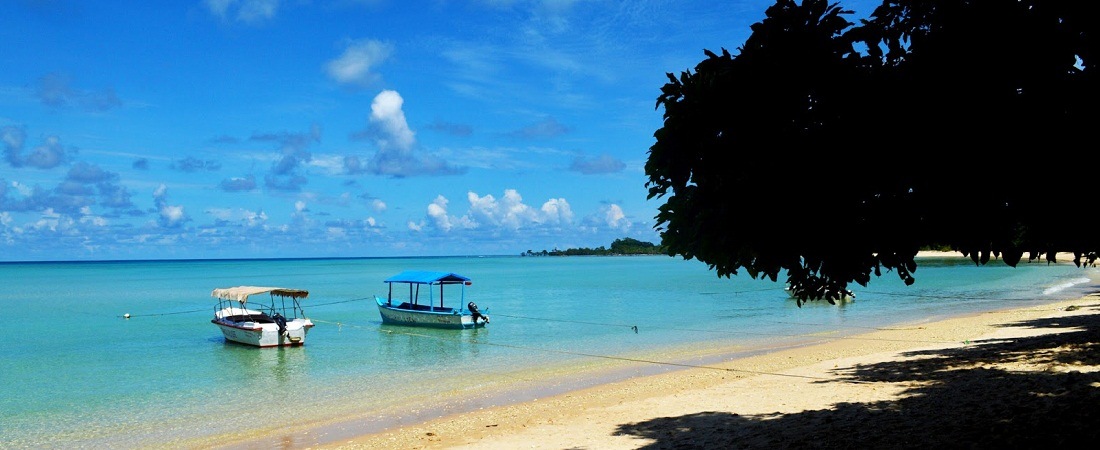 Andaman Tour Packages From Kochi