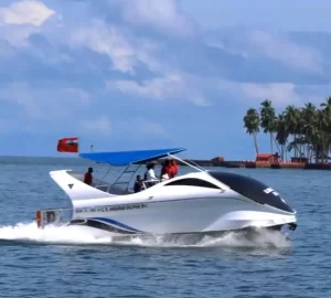 Dolphin Activity in Andaman