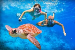 Snorkeling Activity in Andaman