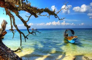 Andaman Holiday Trip From Bihar