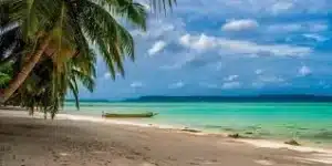 Andaman 4 Night 5 Days Package