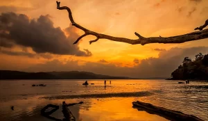 Andaman Best Budget Tour Package
