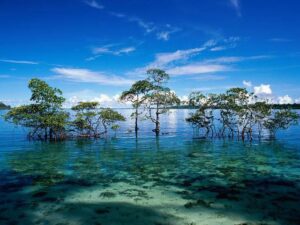 Andaman Honeymoon Package