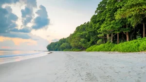 Andaman Tour Package 6 Night 7 Days For Family