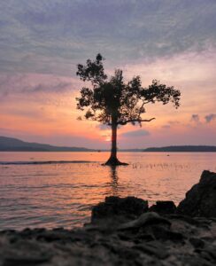 Best Season Package For Family