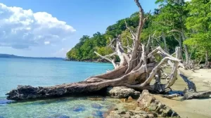 Andaman Weekend Package 5 night 6 days
